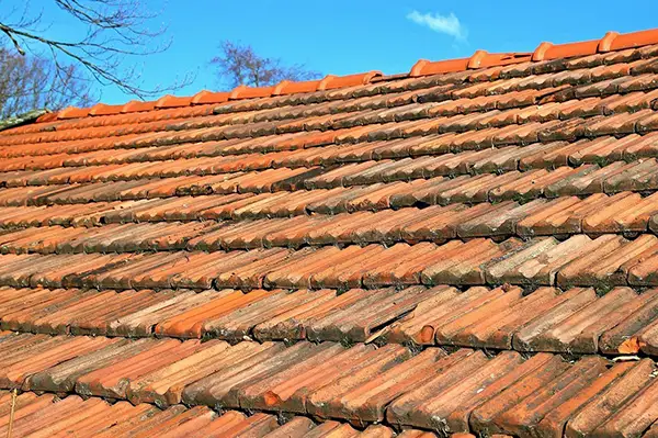roofing maintenance