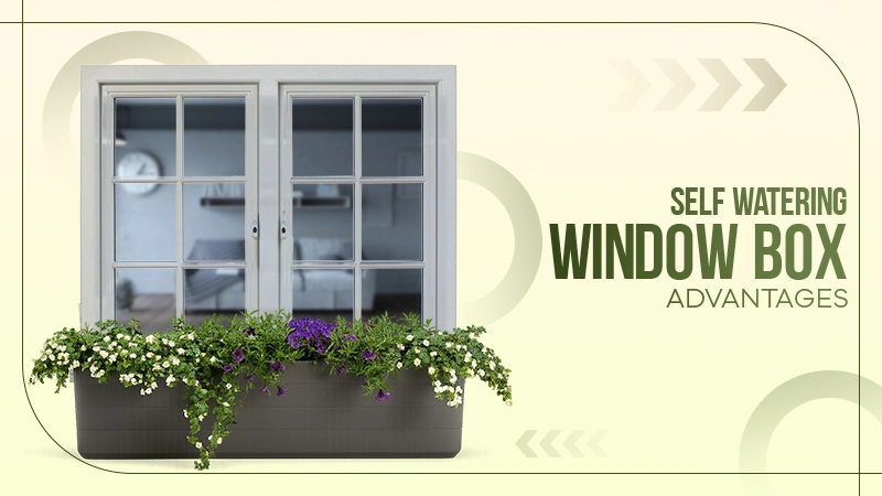 self watering window box advantages