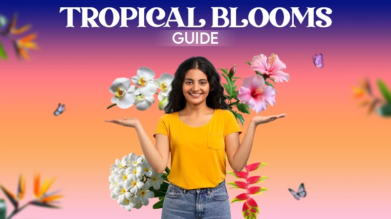tropical bloom guide