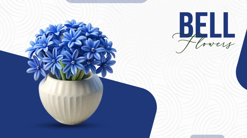 Bell Flower to Your Garden