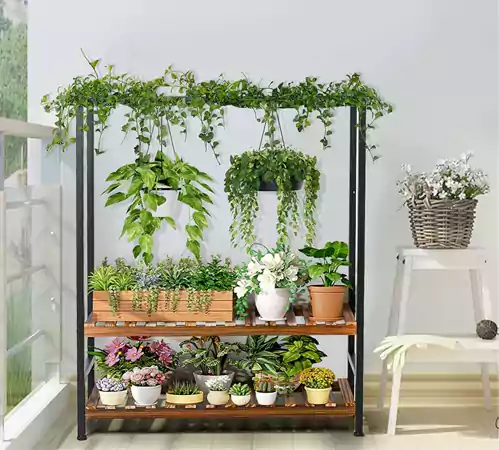 Green shelves