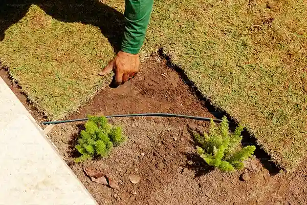ROI of Landscaping