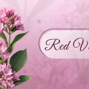 Red valerian