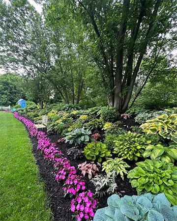 Shade hardy perennials and flowers