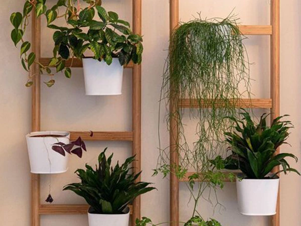 Wall PlantersS