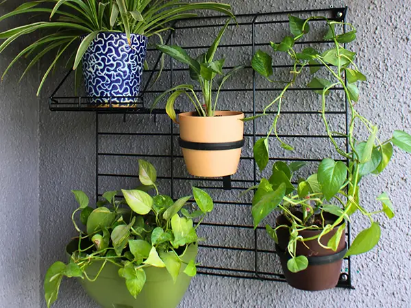 Wall Trays and MountingsS