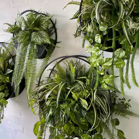 Wall planters