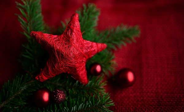 festive home ideas