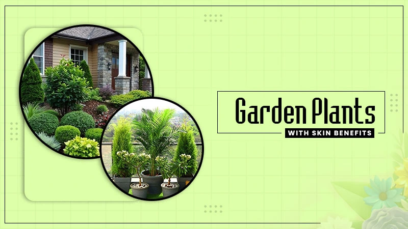 garden plants with skin benefits