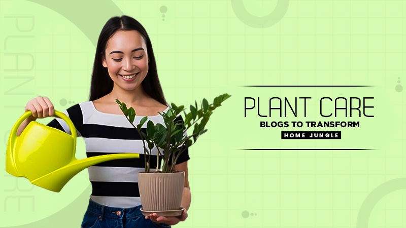 plant care blogs to transform home jungle