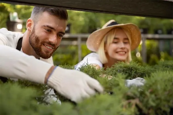 HOA Landscaping