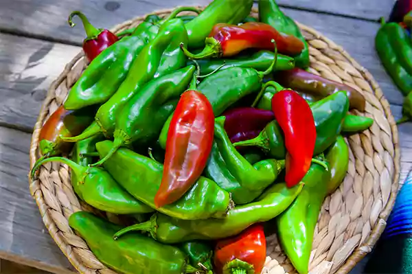 Hatch Chile