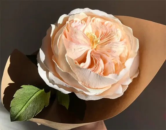 Juliet Rose