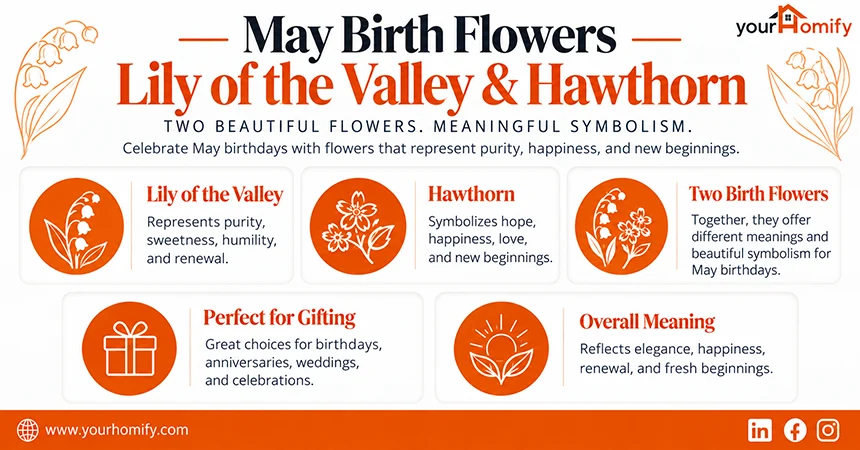 May Birth Flower Lily of the Valley and Hawthorn