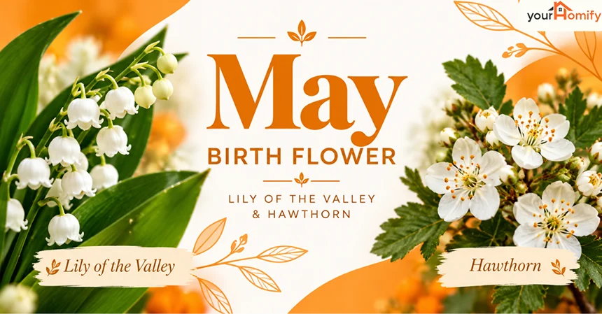 May birth flowers