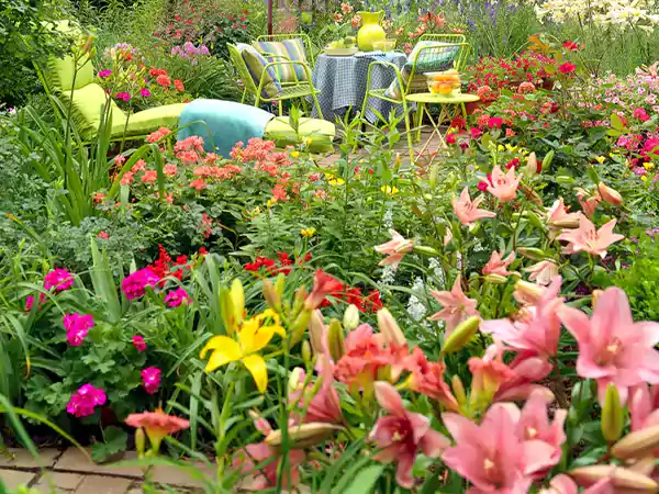 Mix of vernal blooms