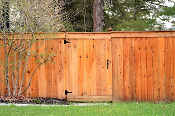 Premium Cedar Fences