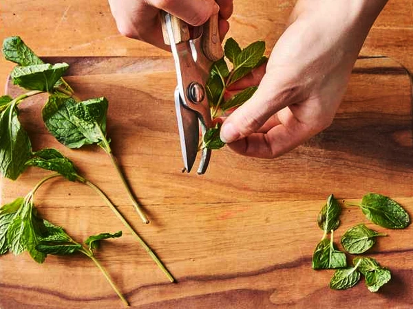 Propagating from Cuttingss