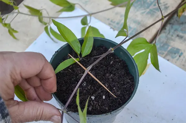 Propagation from Layering