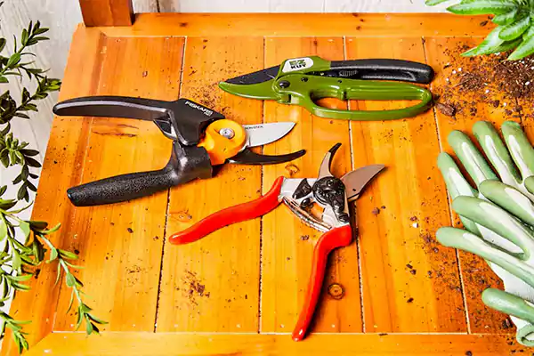 Pruning Tools Image