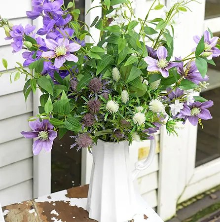 Queen of Climbers in a vase