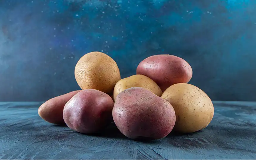 Red Norland potatoes