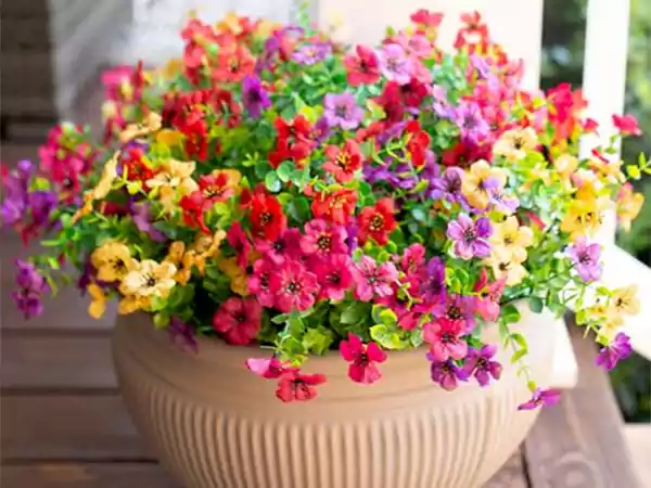 Spring flower bouquet