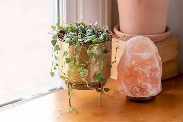 String of Hearts