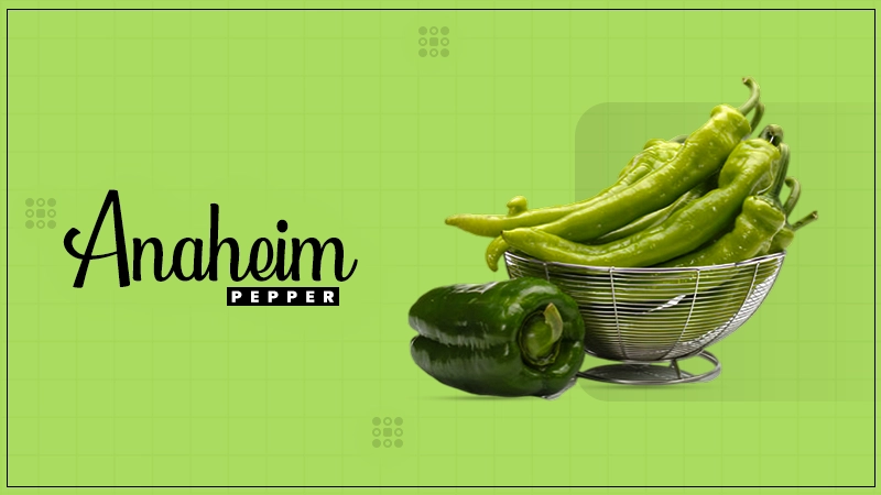 anaheim pepper