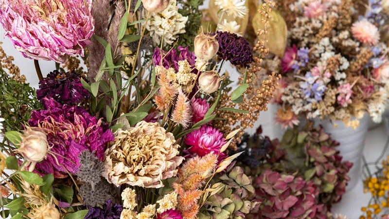 d-How to Dry Flowers