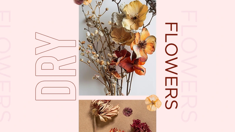 dry flower