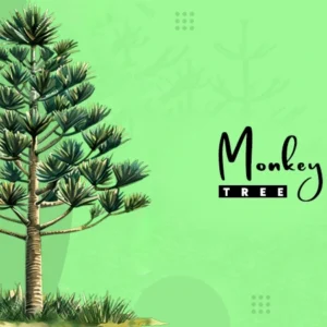 monkey puzzle tree