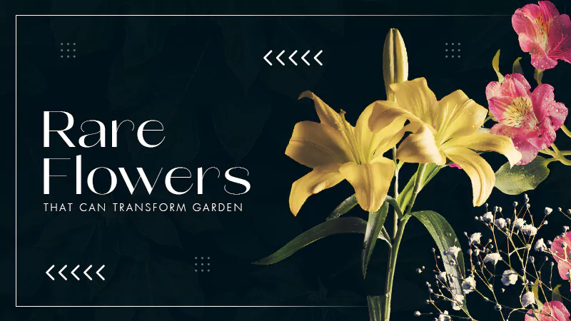 rare flowers That Can Transform Your Garden