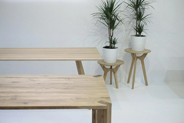 A wooden table with two plants behind it