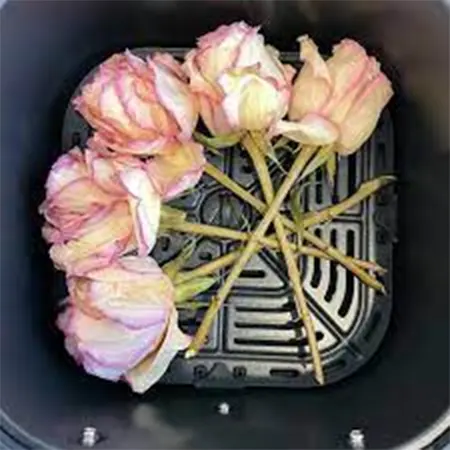 Air fryer
