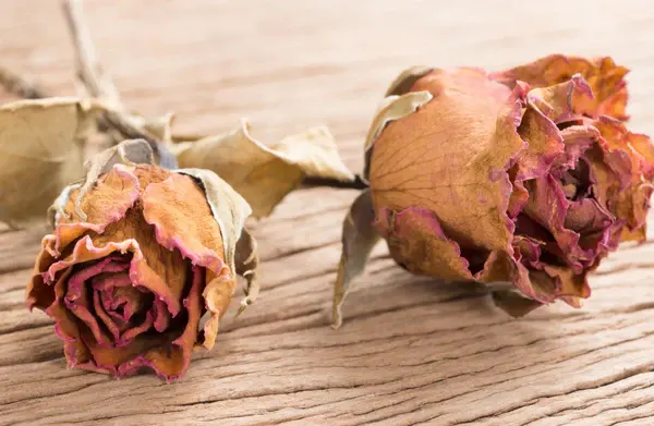 Dehydrated Rose