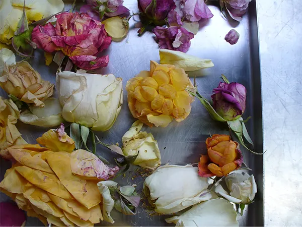 Dehydrated blooms