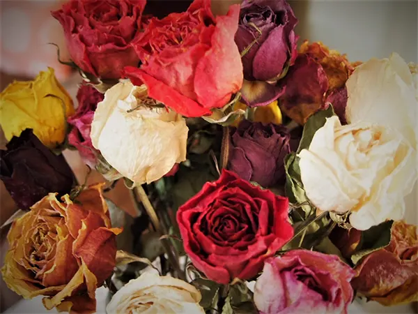 Dehydrated flowers