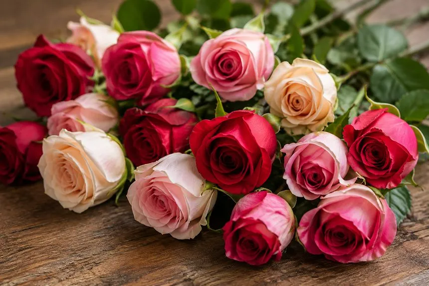Fresh roses