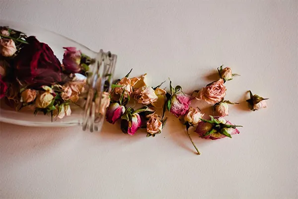 Hairsprayed flowers