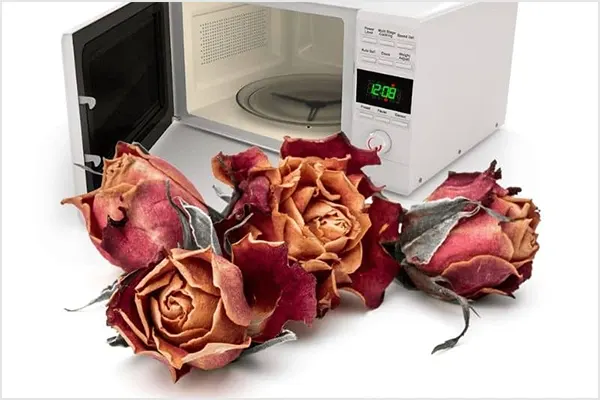 Microwave drying