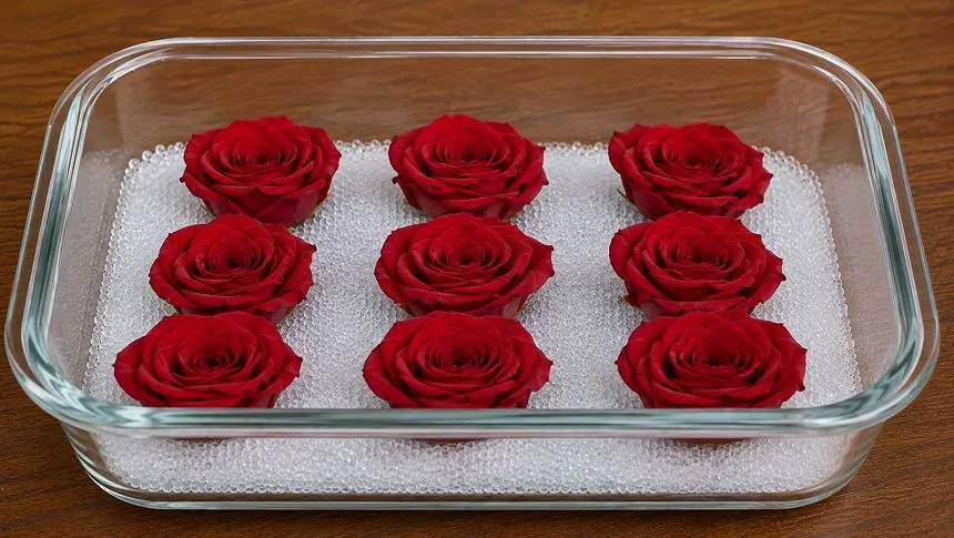 Place rose heads in container