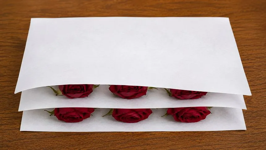 Place the flowers between the paper