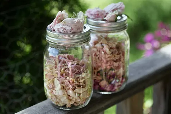 Roses in air tight containers