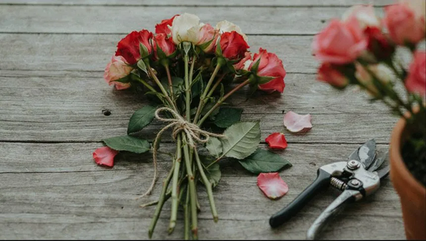 Tie rose stems together
