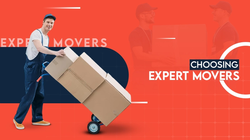 choosing expert movers