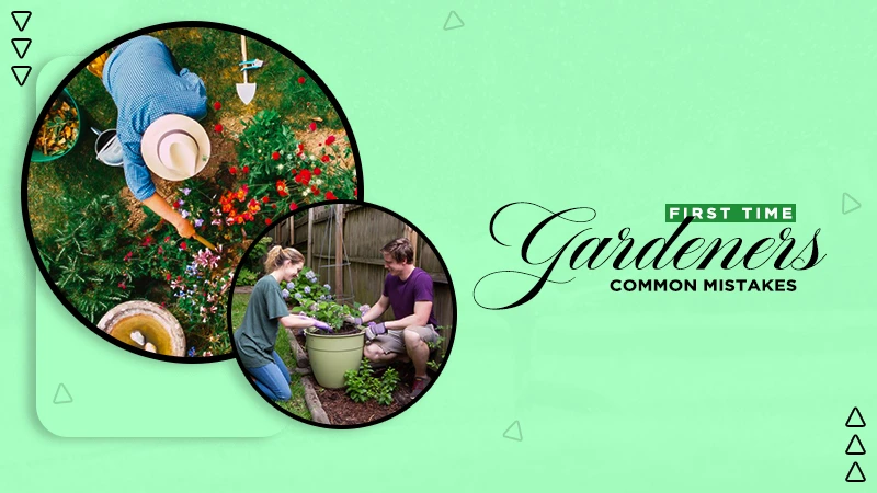 first time gardeners common mistakes