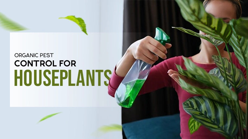 organic pest control