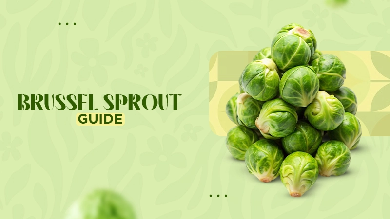 Brussel Sprout guide