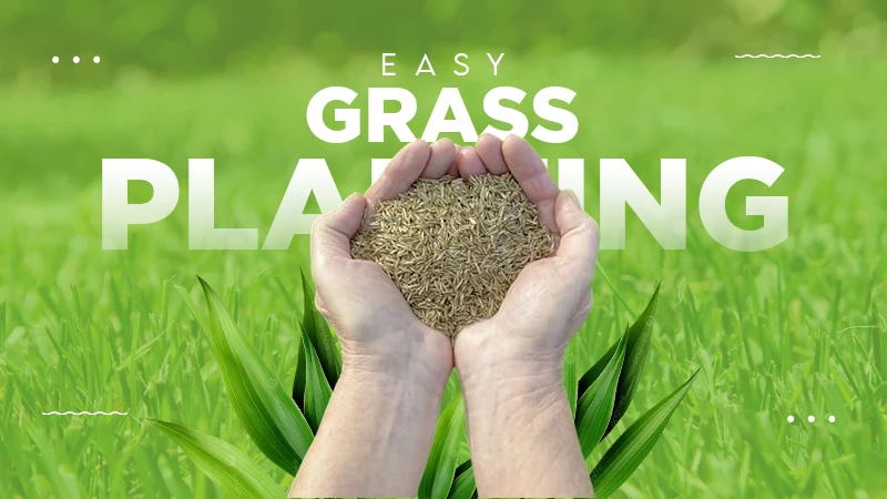 Easy Grass Planting